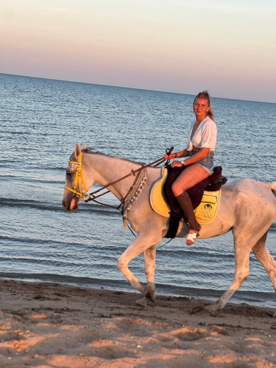 horse riding hurghada pharaohs star